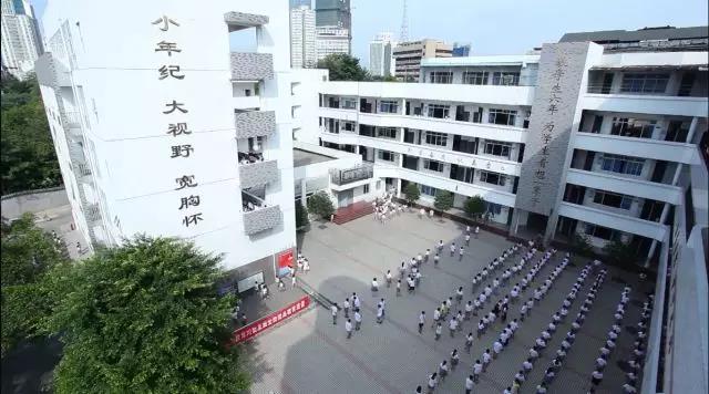 图片1